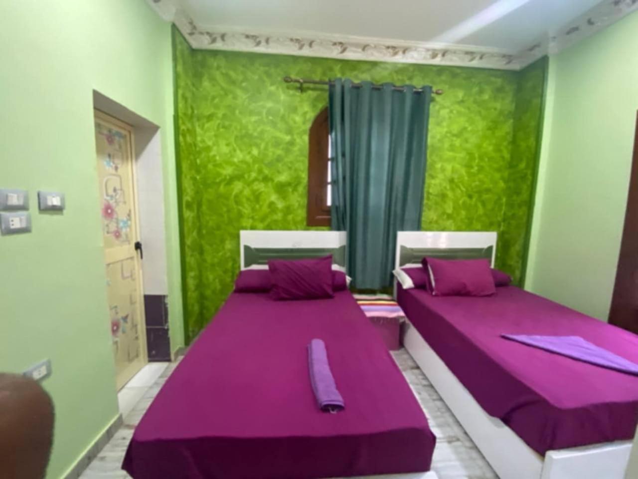 Sunrise Shiny Nubian Guest House 아스완 외부 사진